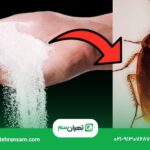 آیا جوهر نمک برای از بین بردن سوسک مؤثر است؟