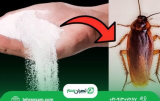 آیا جوهر نمک برای از بین بردن سوسک مؤثر است؟