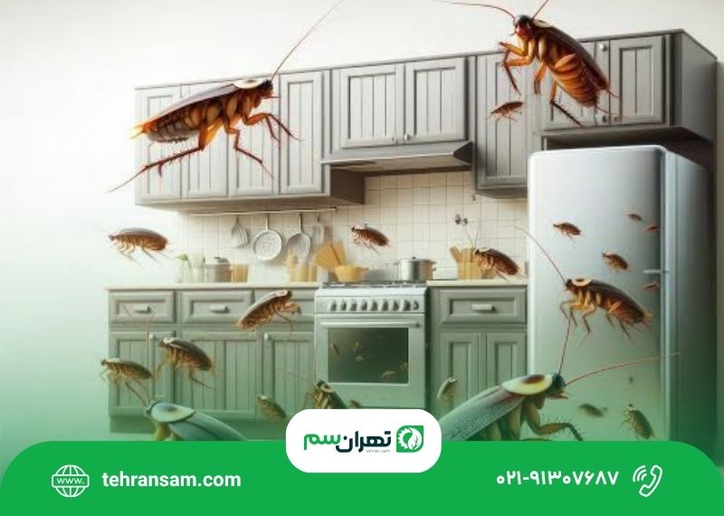 بهترین روش ازبین بردن سوسک کابینت بهترین روش ازبین بردن سوسک کابینت