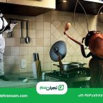 بهترین روش ازبین بردن سوسک کابینت