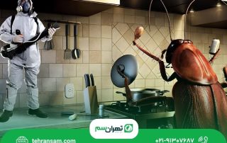 بهترین روش ازبین بردن سوسک کابینت