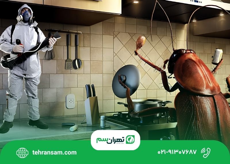 بهترین روش ازبین بردن سوسک کابینت