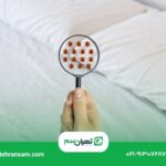 ساس از چه بویی بدش میاد؟
