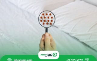 ساس از چه بویی بدش میاد؟