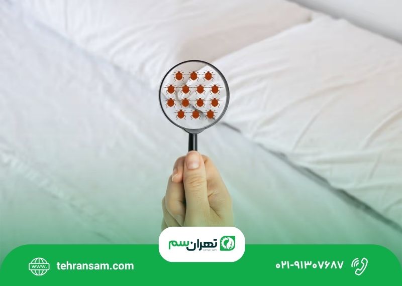 ساس از چه بویی بدش میاد؟
