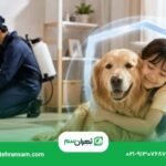 آیا سمپاشی برای کودکان و حیوانات خانگی خطر دارد؟