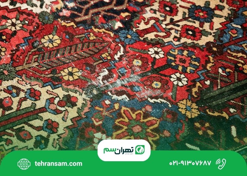 بید فرش از کجا می آید؟ بید فرش از کجا می آید؟