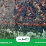 بید فرش از کجا می آید؟
