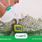 سوسک_ها کجا لانه می_کنند؟