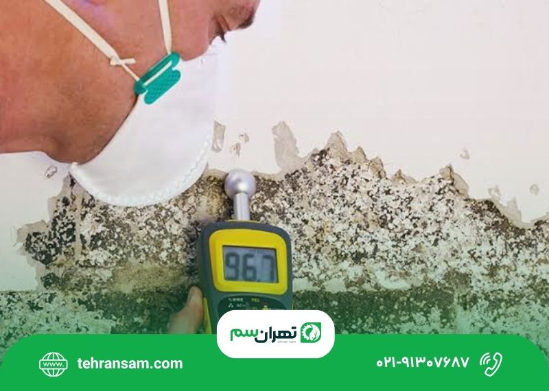سوسک_ها کجا لانه می_کنند؟