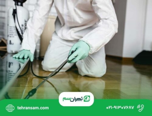 هزینه سمپاشی منزل در تهران چقدر است؟ عوامل مؤثر بر قیمت