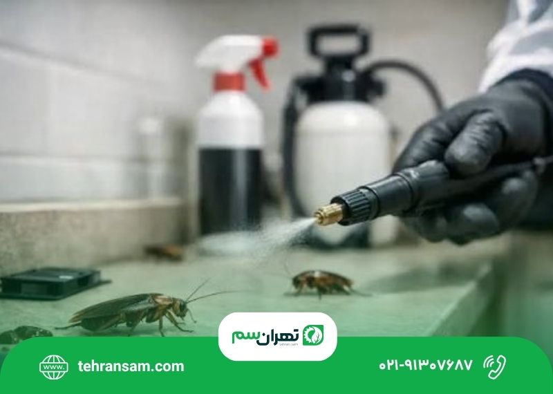 سمپاشی سوسک در تهران؛ تفاوت روش ژل، سمپاشی و مه_پاشی (1) سمپاشی سوسک در تهران؛ تفاوت روش ژل، سمپاشی و مهپاشی