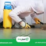 سمپاشی سوسک در تهران؛ تفاوت روش ژل، سمپاشی و مه_پاشی