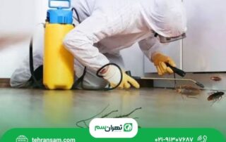 سمپاشی سوسک در تهران؛ تفاوت روش ژل، سمپاشی و مه_پاشی