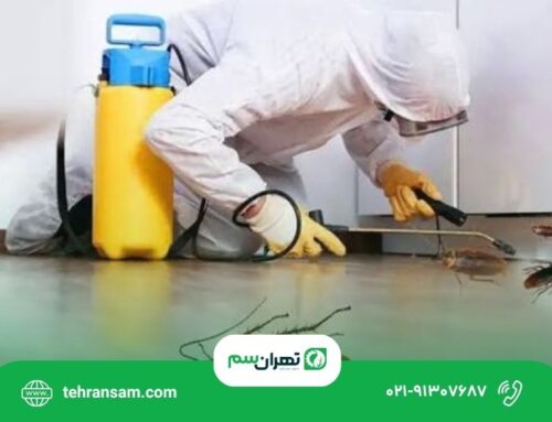 سمپاشی سوسک در تهران؛ تفاوت روش ژل، سمپاشی و مه‌پاشی