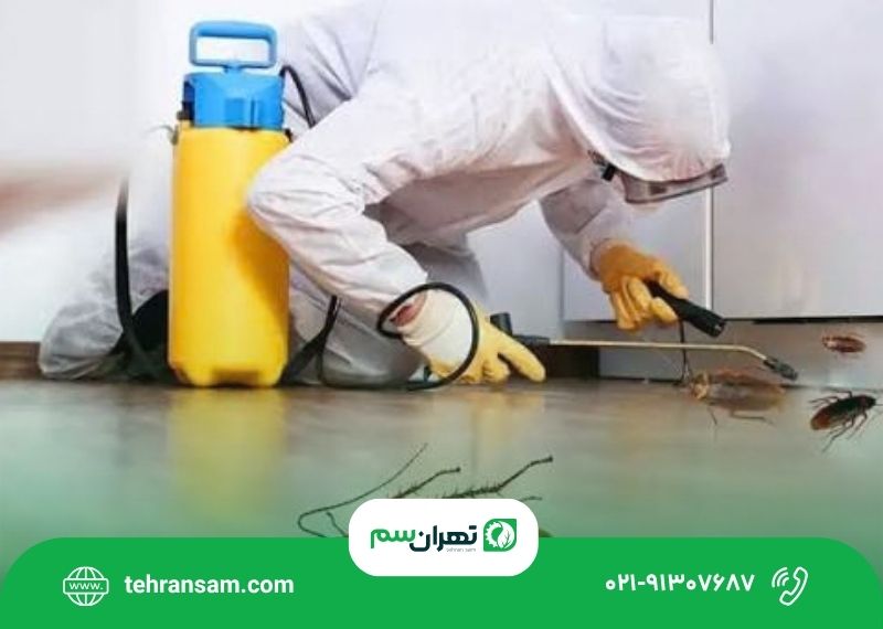 سمپاشی سوسک در تهران؛ تفاوت روش ژل، سمپاشی و مه_پاشی