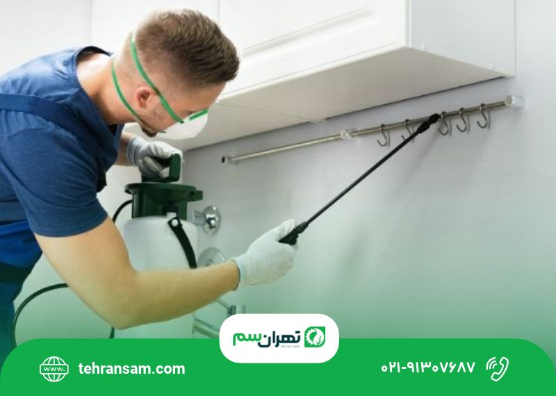 سمپاشی منزل شهران سمپاشی منزل در شهران؛ راهنمای کنترل آفات آپارتمان و خانه ویلایی