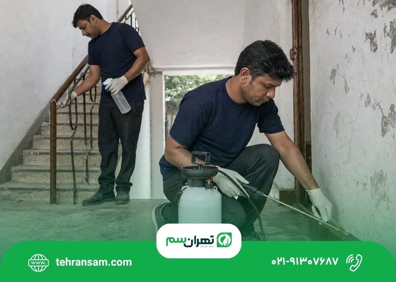 سمپاشی منزل در میرداماد؛ راهنمای کنترل آفات آپارتمان و برج