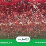 نشانه_های وجود بید در فرش