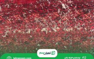 نشانه_های وجود بید در فرش